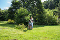 AL-KO Easy Crush LH 2810 kompostkvern 2800 W